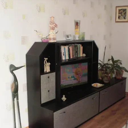 Apartment Molni *